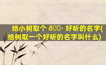给小树取个 🕷 好听的名字(给树取一个好听的名字叫什么)